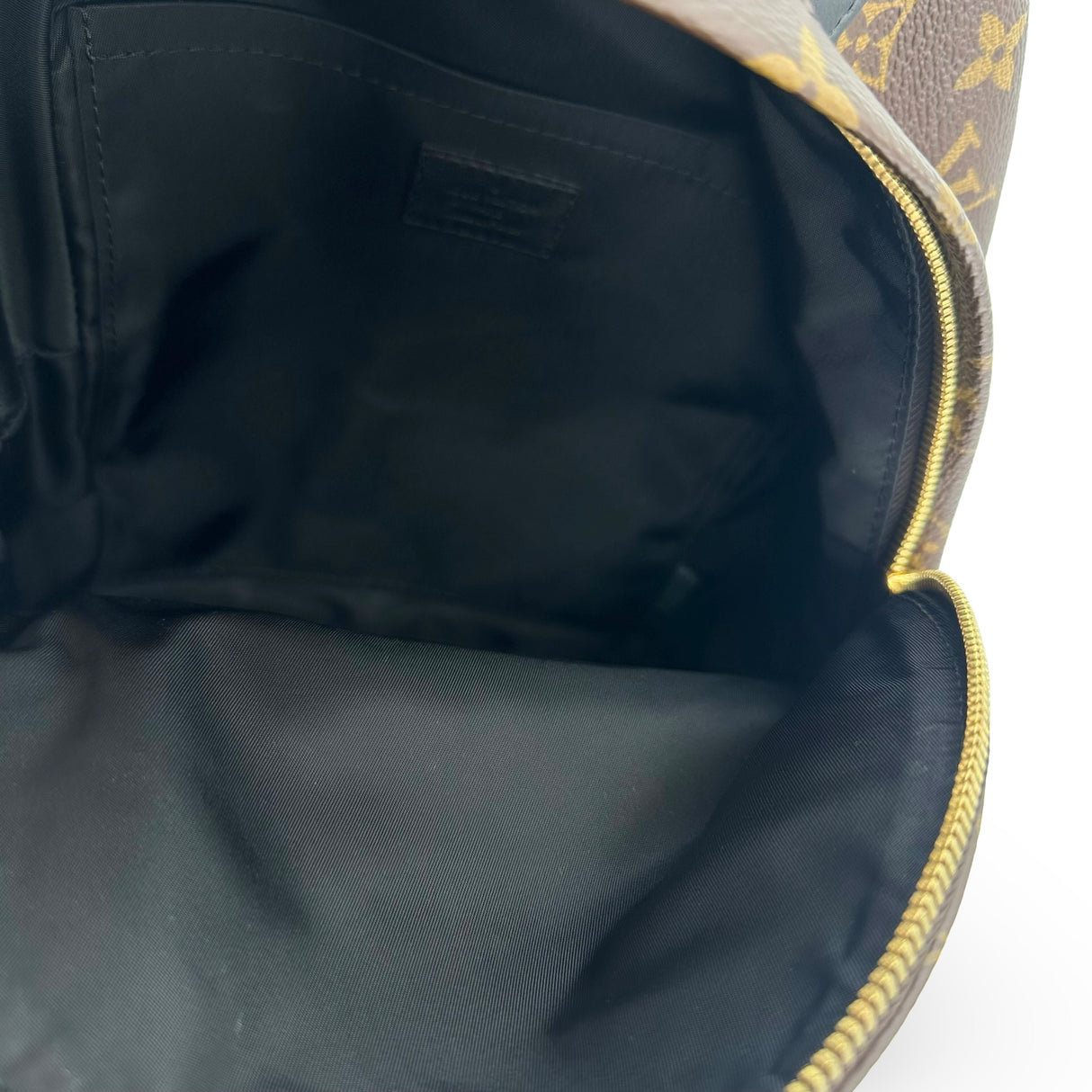 LOUIS VUITTON: Monogram Palm Springs PM Backpack