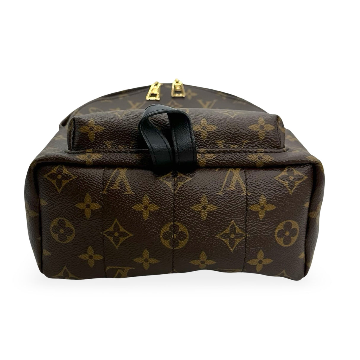 LOUIS VUITTON: Monogram Palm Springs PM Backpack