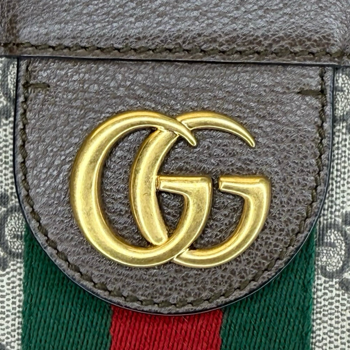 GG Supreme Ophidia Large Vertical Tote