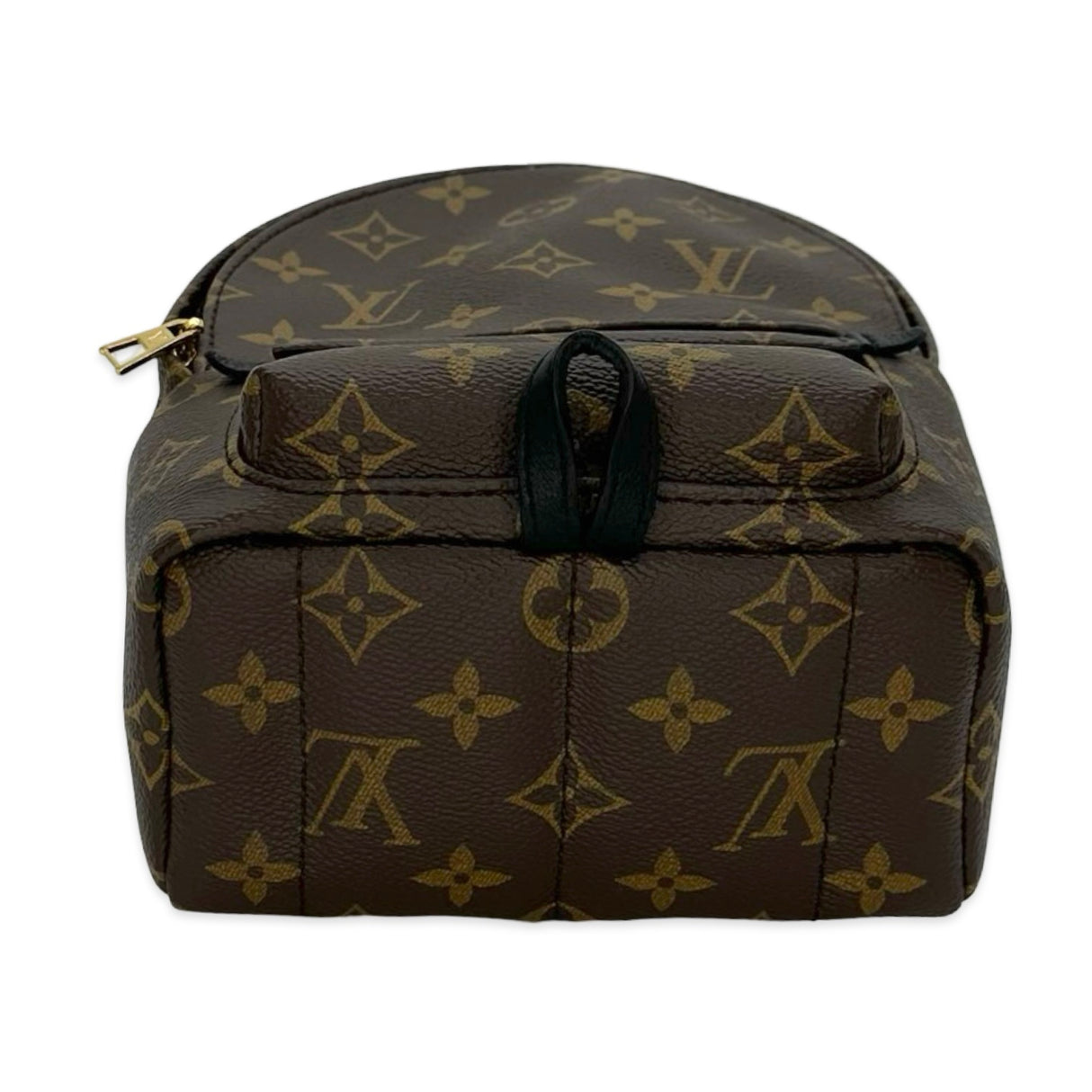 Monogram Mini Palm Springs