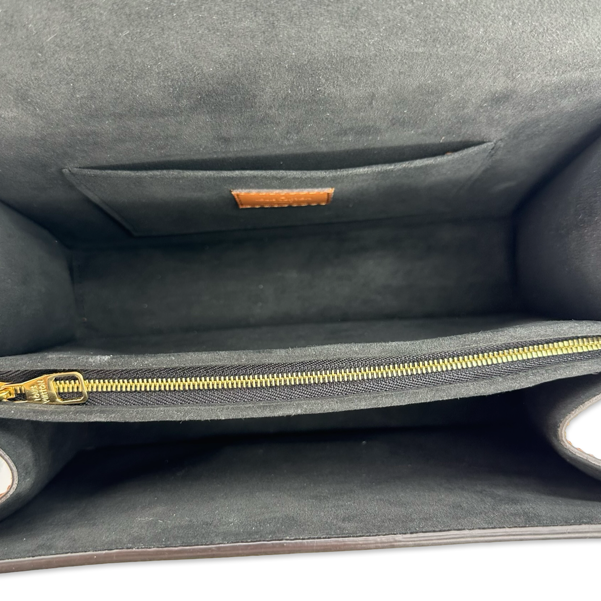 Monogram Reverse Dauphine MM