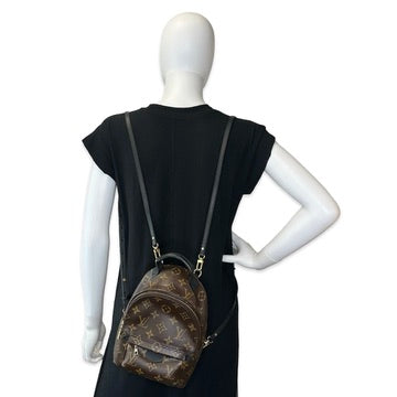 Monogram Mini Palm Springs Backpack