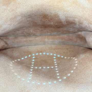 Clemence Evelyne III 29