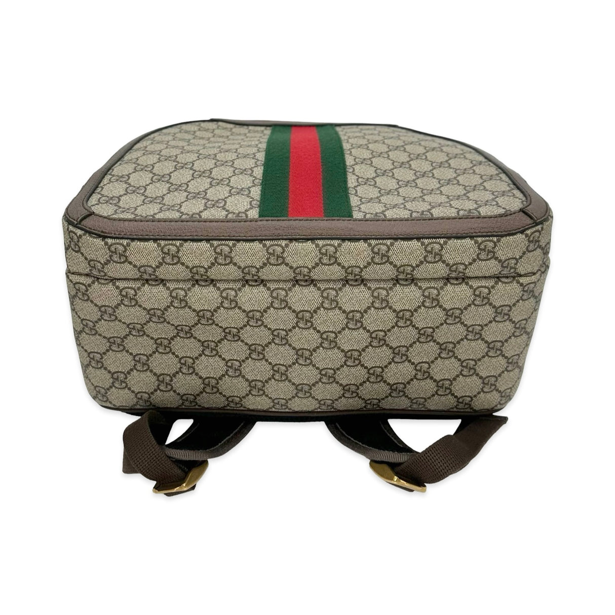 GG Supreme Ophidia Large Backpack