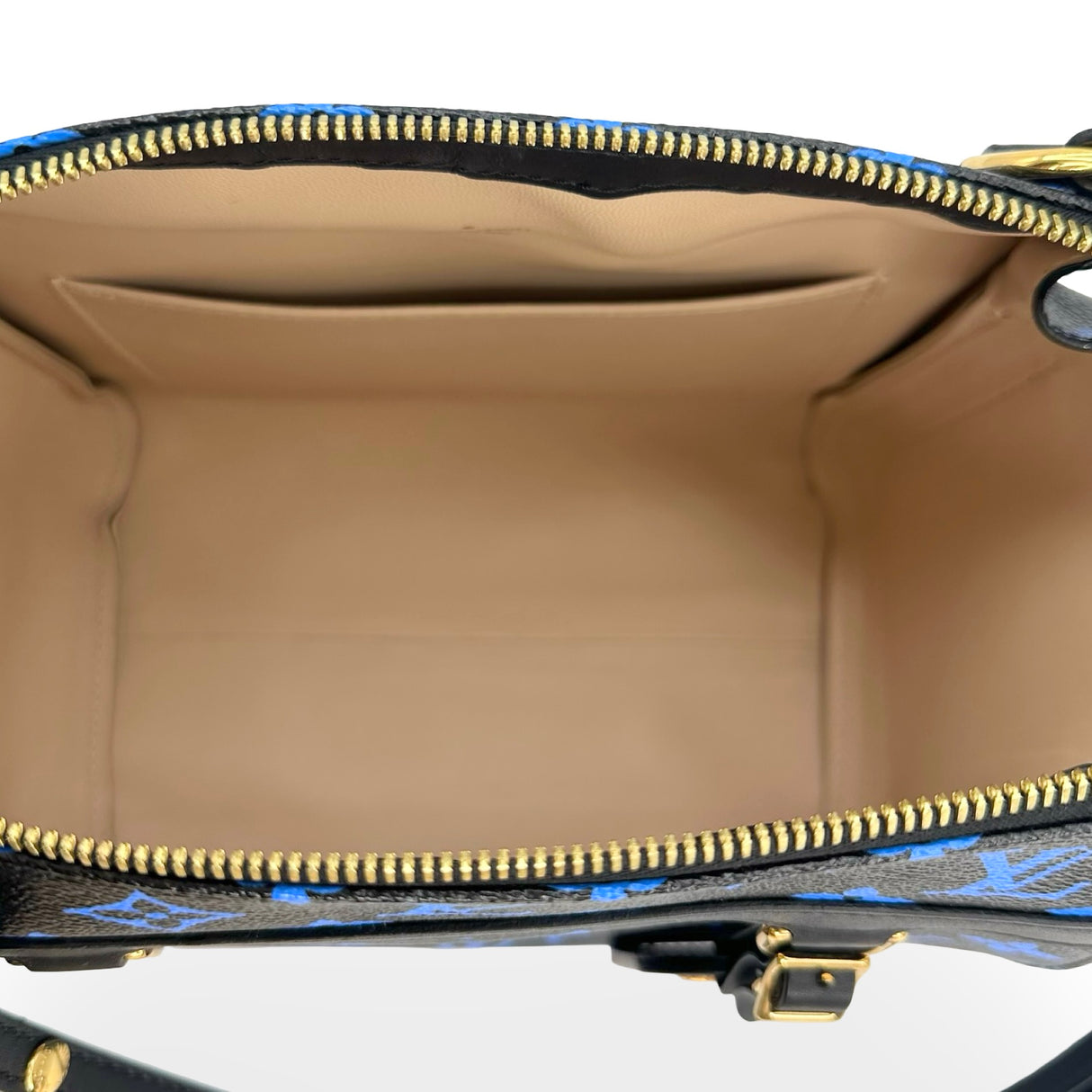 LOUIS VUITTON: Color Monogram Speedy Amazon PM