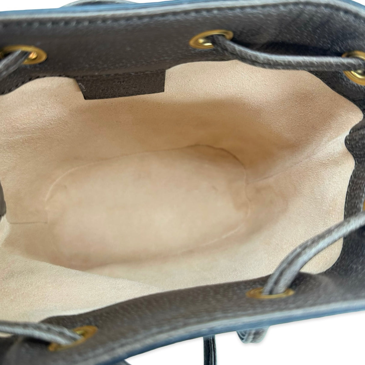 GG Supreme Ophidia Mini Bucket Bag