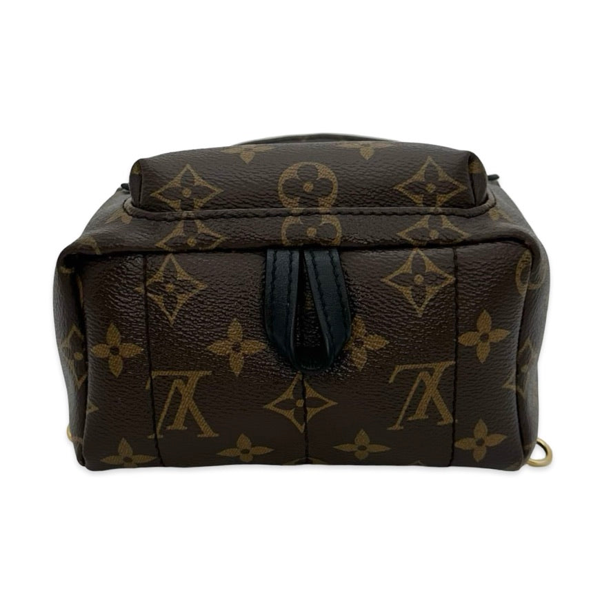 Monogram Mini Palm Springs Backpack