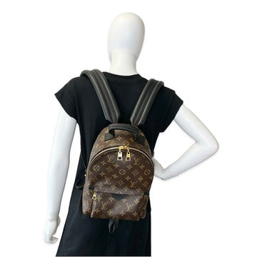Louis Vuitton Monogram Palm Springs PM