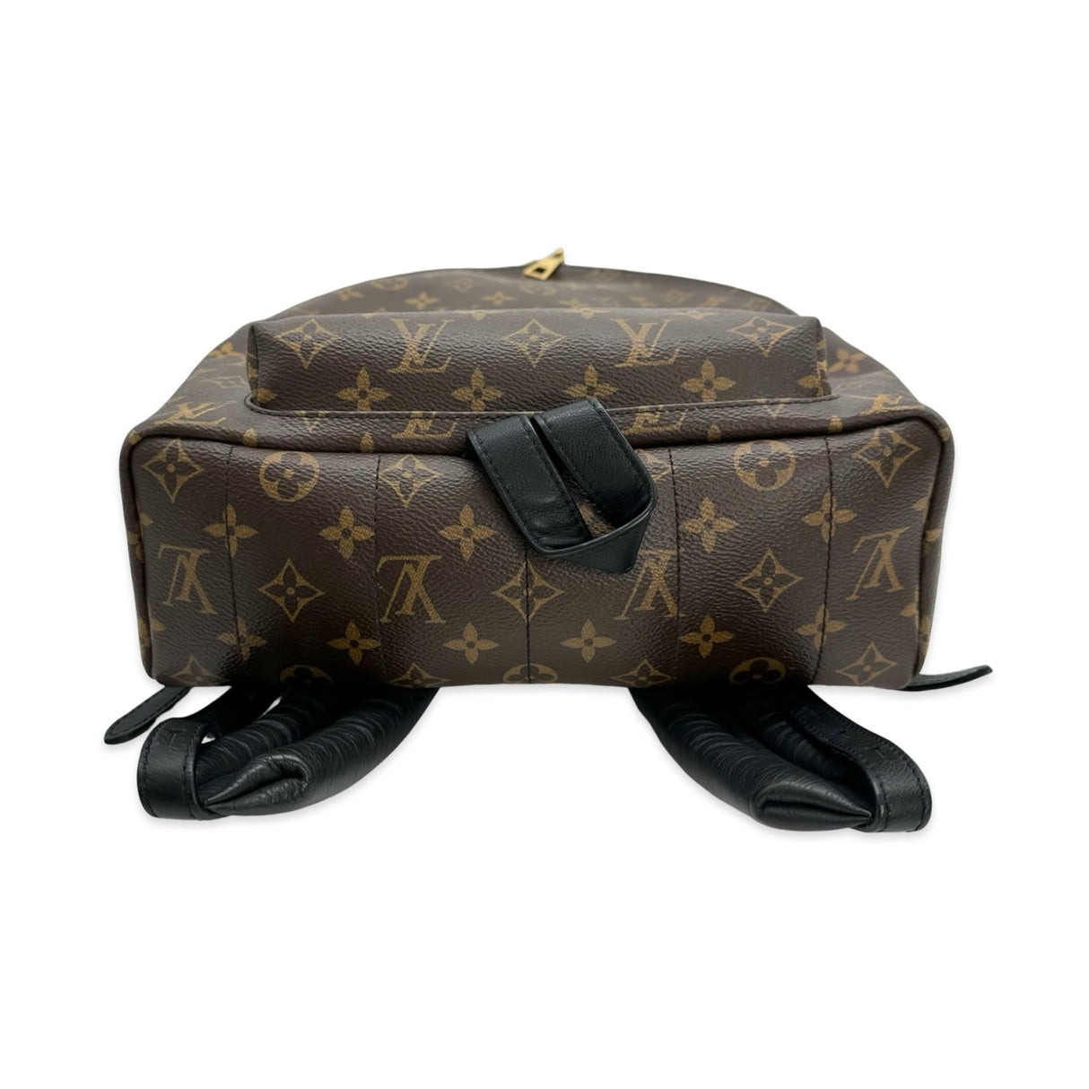 Monogram Palm Springs MM Backpack