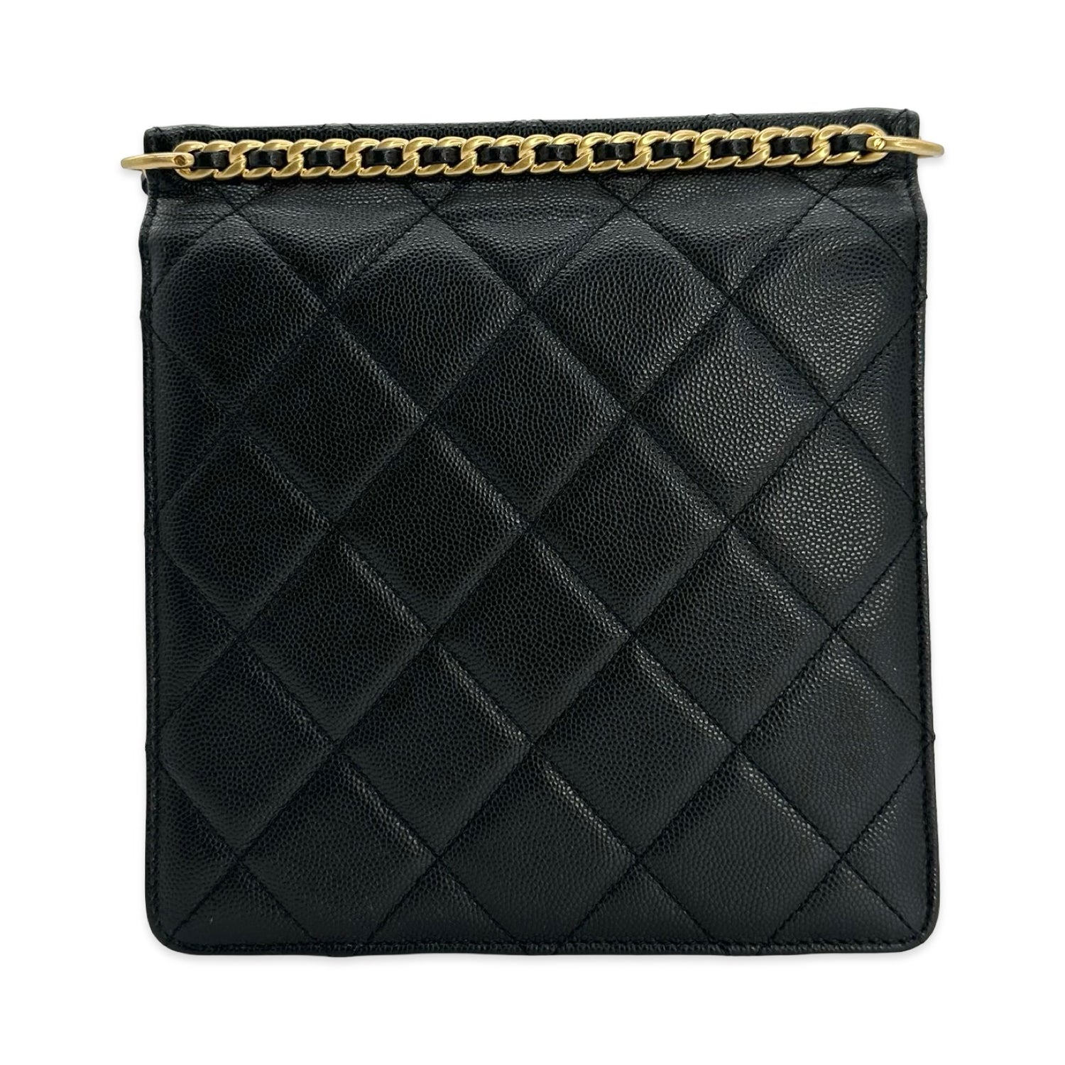 Quilted Caviar Rectangular Flap Bag