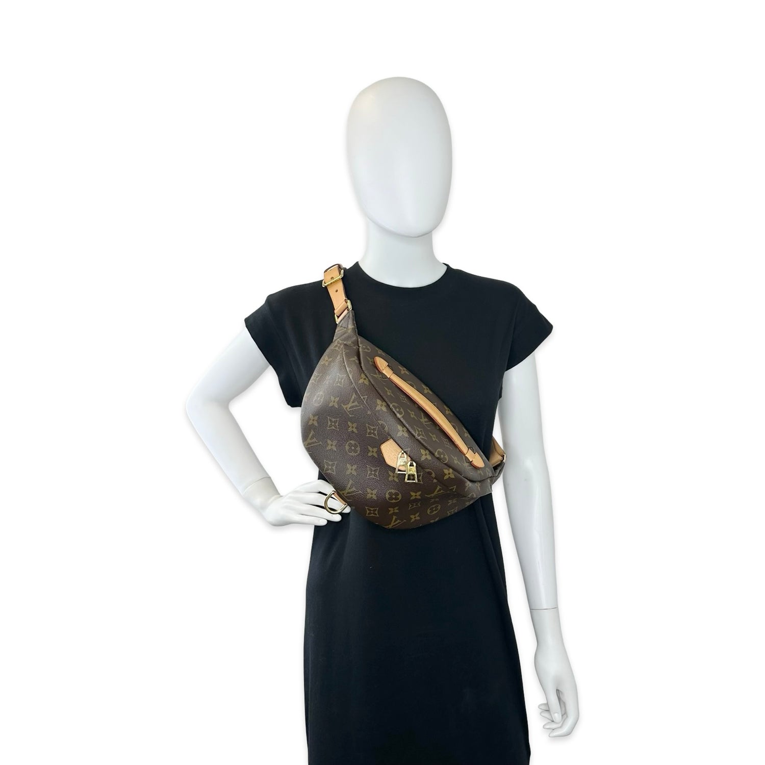 Louis Vuitton Monogram Bum Bag