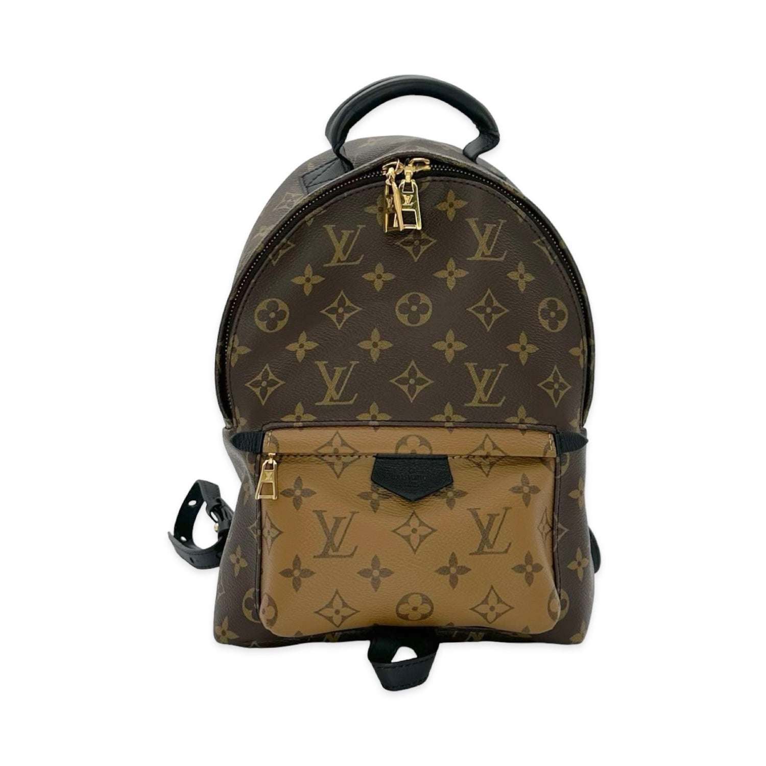 Louis Vuitton Monogram Reverse Palm Springs PM Backpack