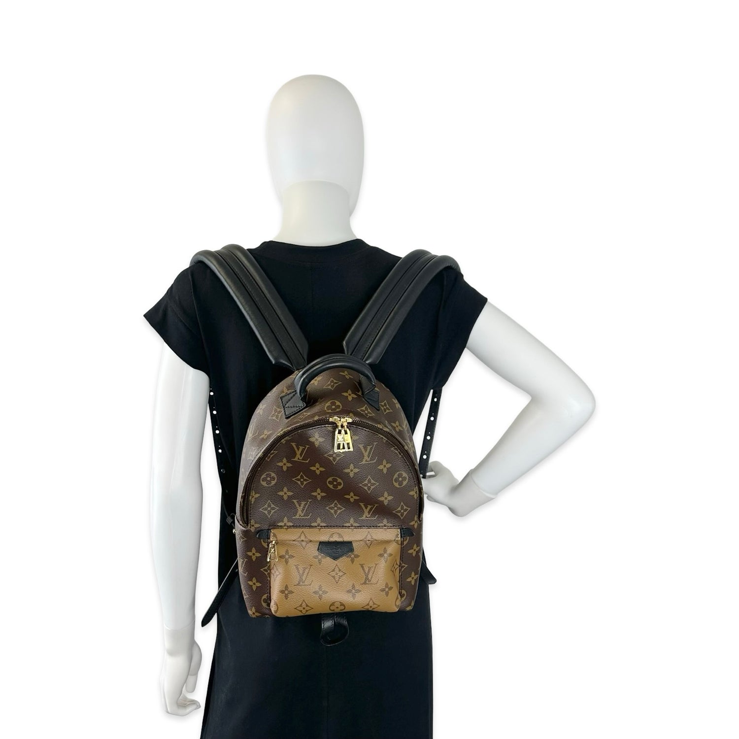 Louis Vuitton Monogram Reverse Palm Springs PM Backpack