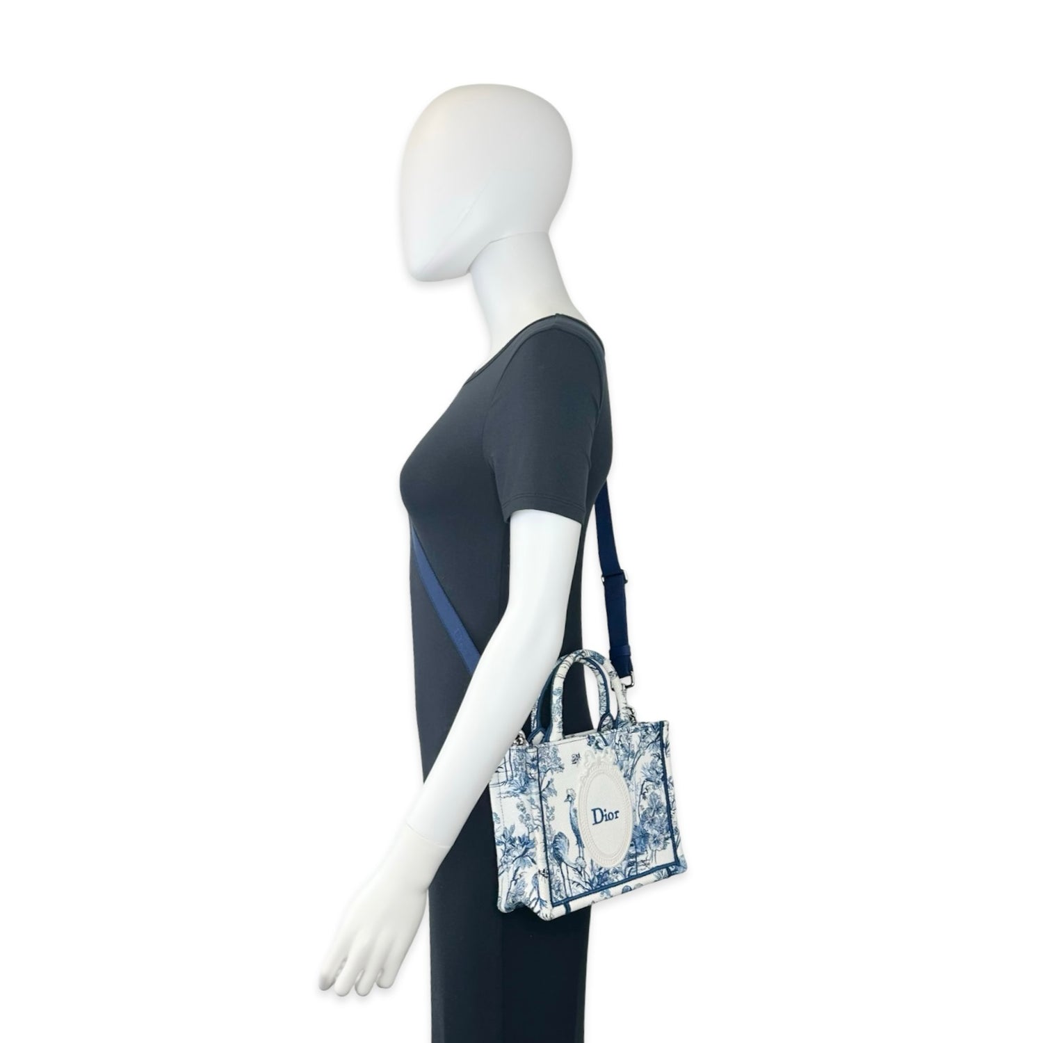 Christian Dior Toile Mirror Medallion Mini Book Tote