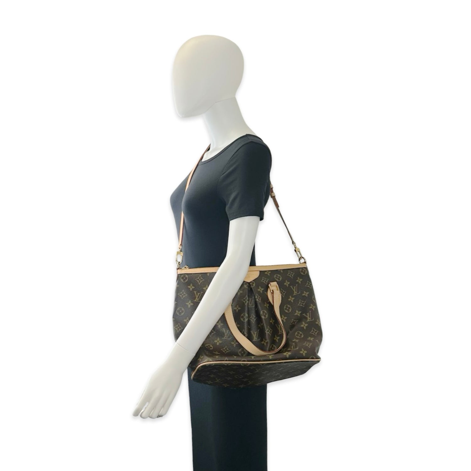 Louis Vuitton Monogram Palermo PM