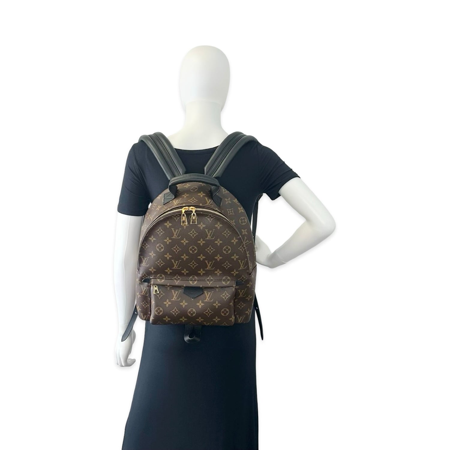 Louis Vuitton Monogram Palm Springs Backpack MM