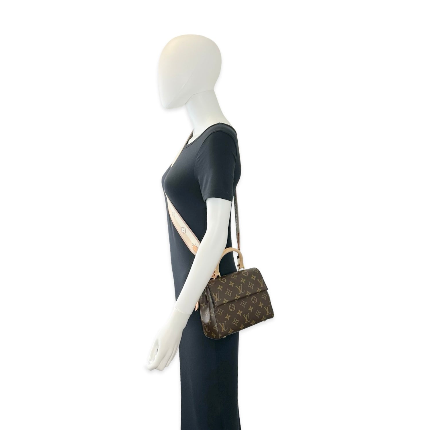 Louis Vuitton Monogram Cluny Mini