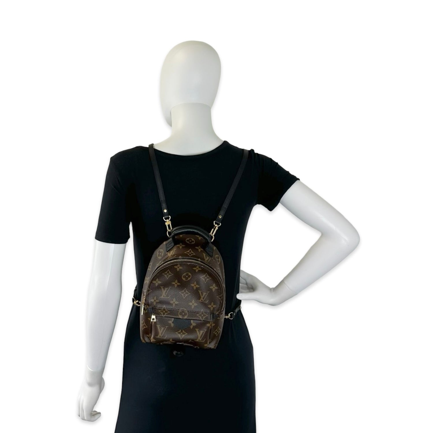 Louis Vuitton Monogram Mini Palm Springs Backpack