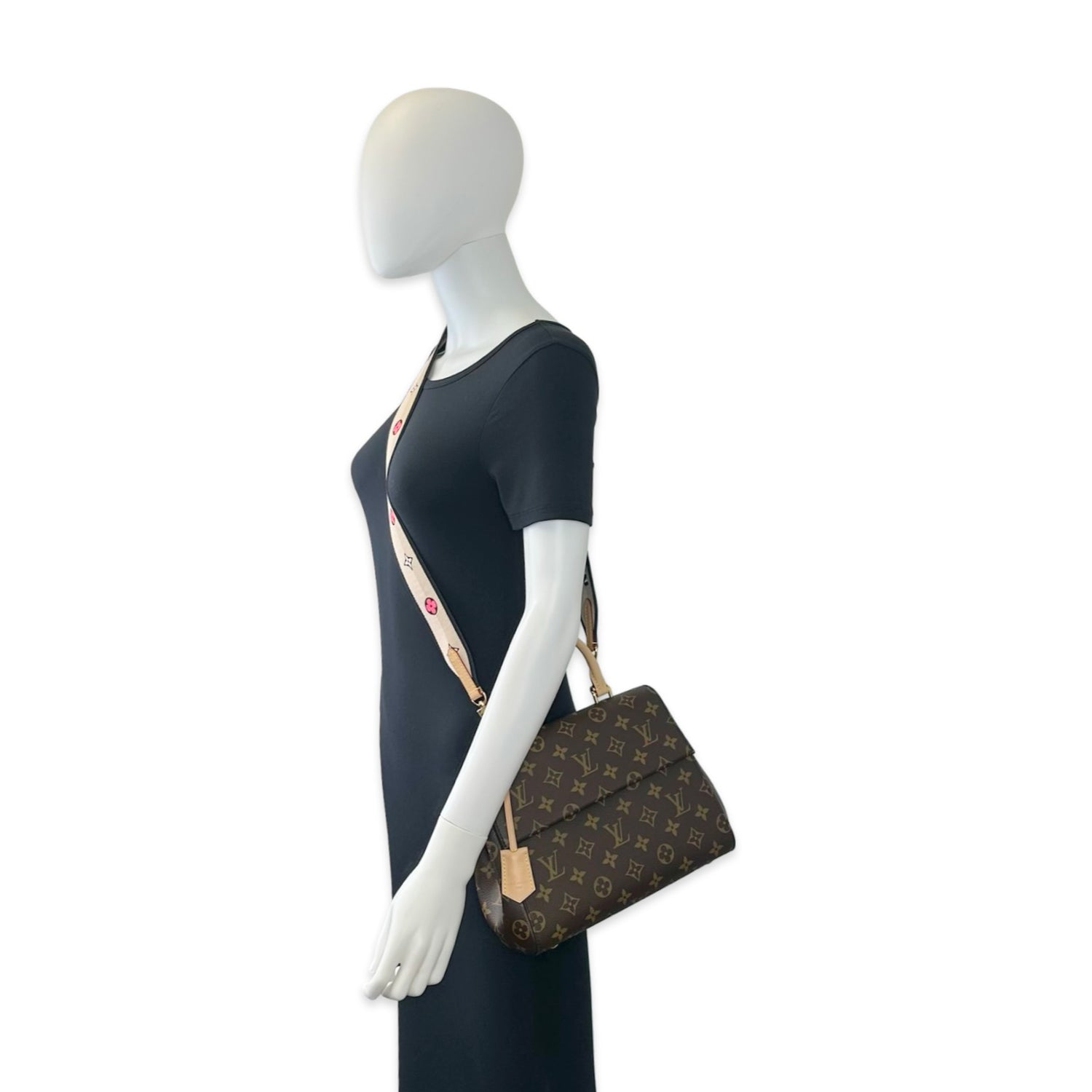 Louis Vuitton Monogram Cluny BB