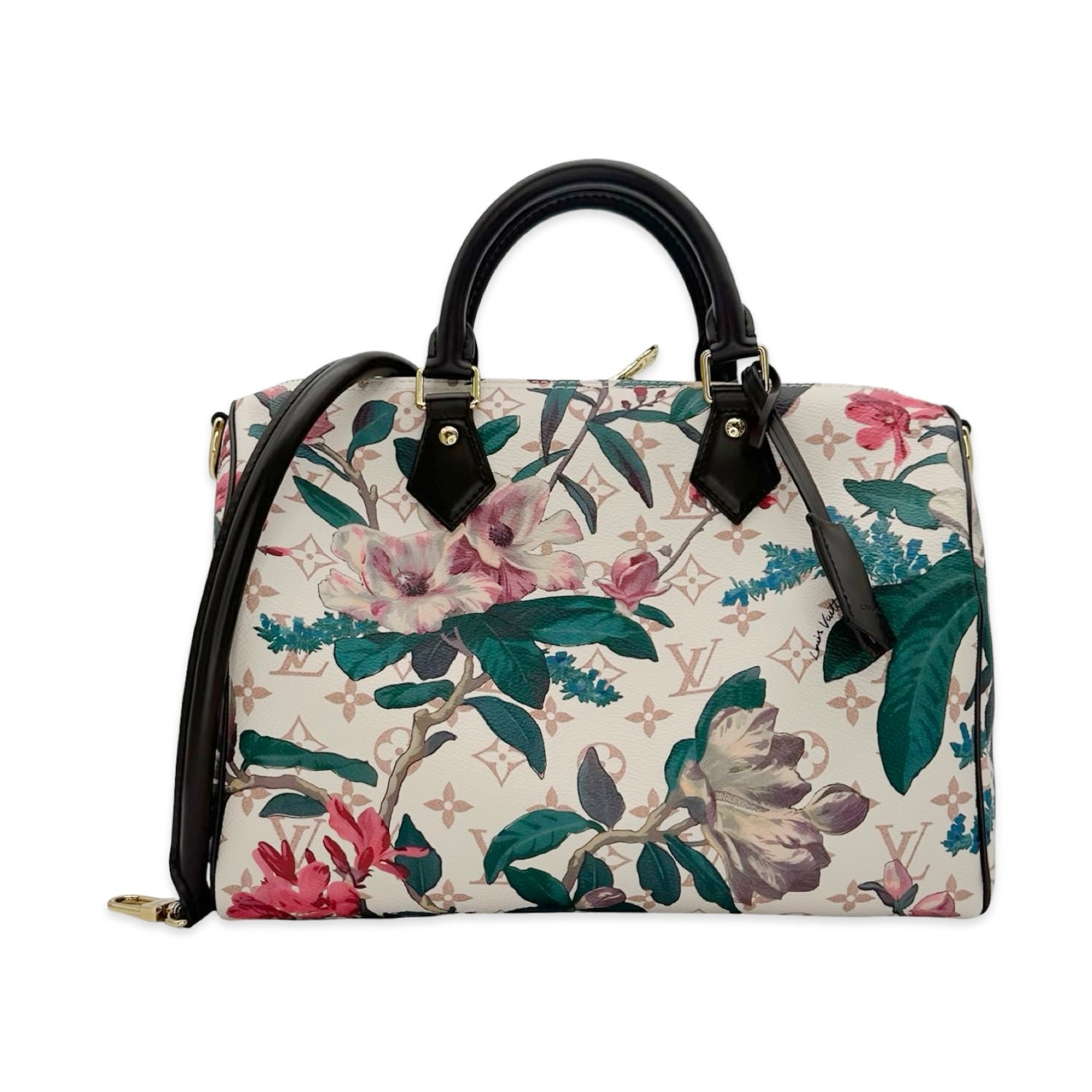 Louis Vuitton Monogram Dune Eden Speedy Soft 30
