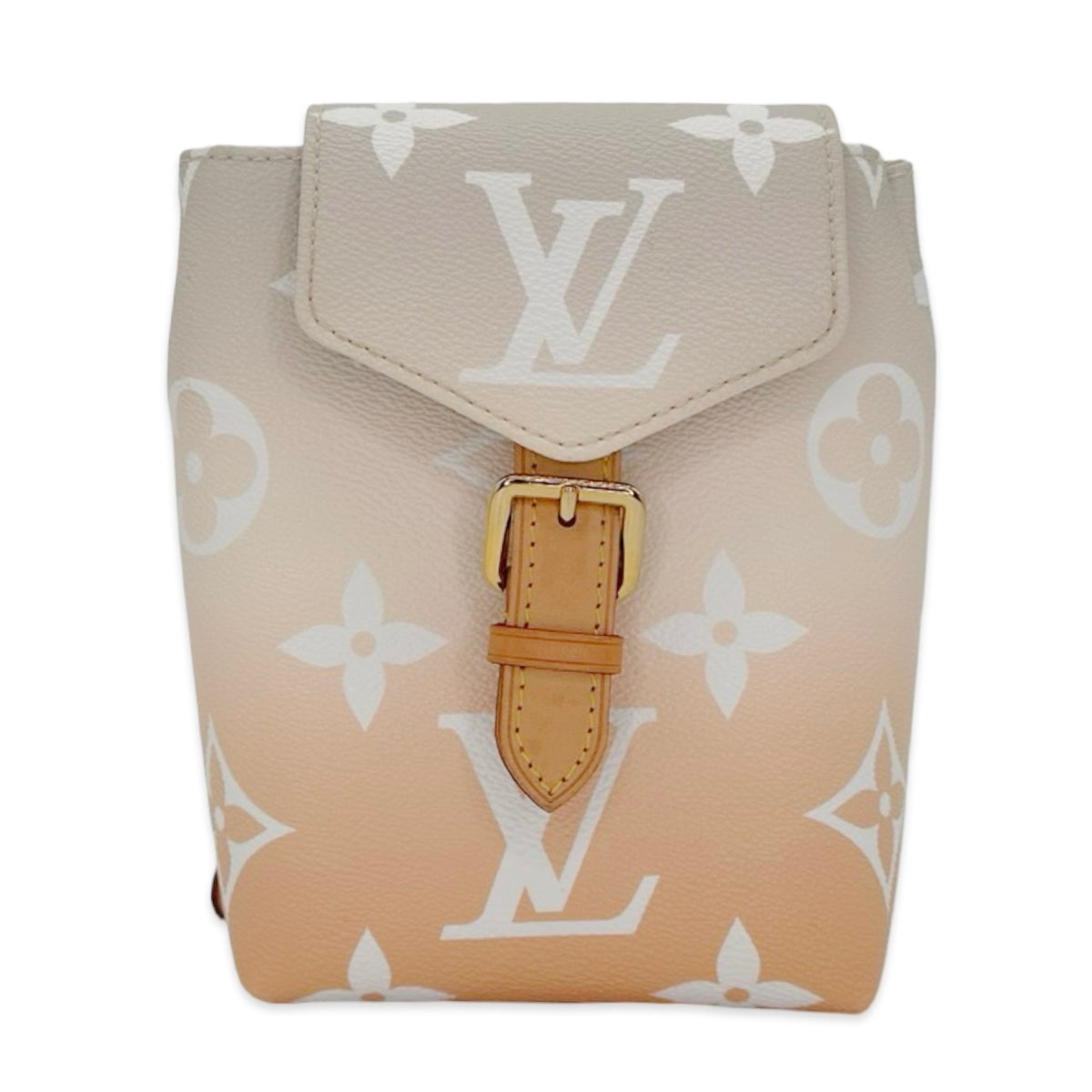 Louis Vuitton Monogram Spring in the City Tiny Backpack