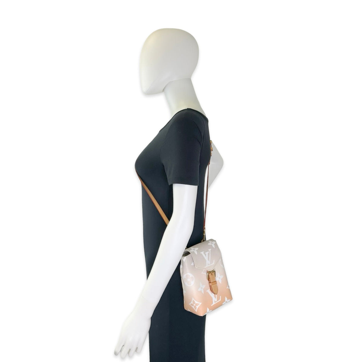 Louis Vuitton Monogram Spring in the City Tiny Backpack