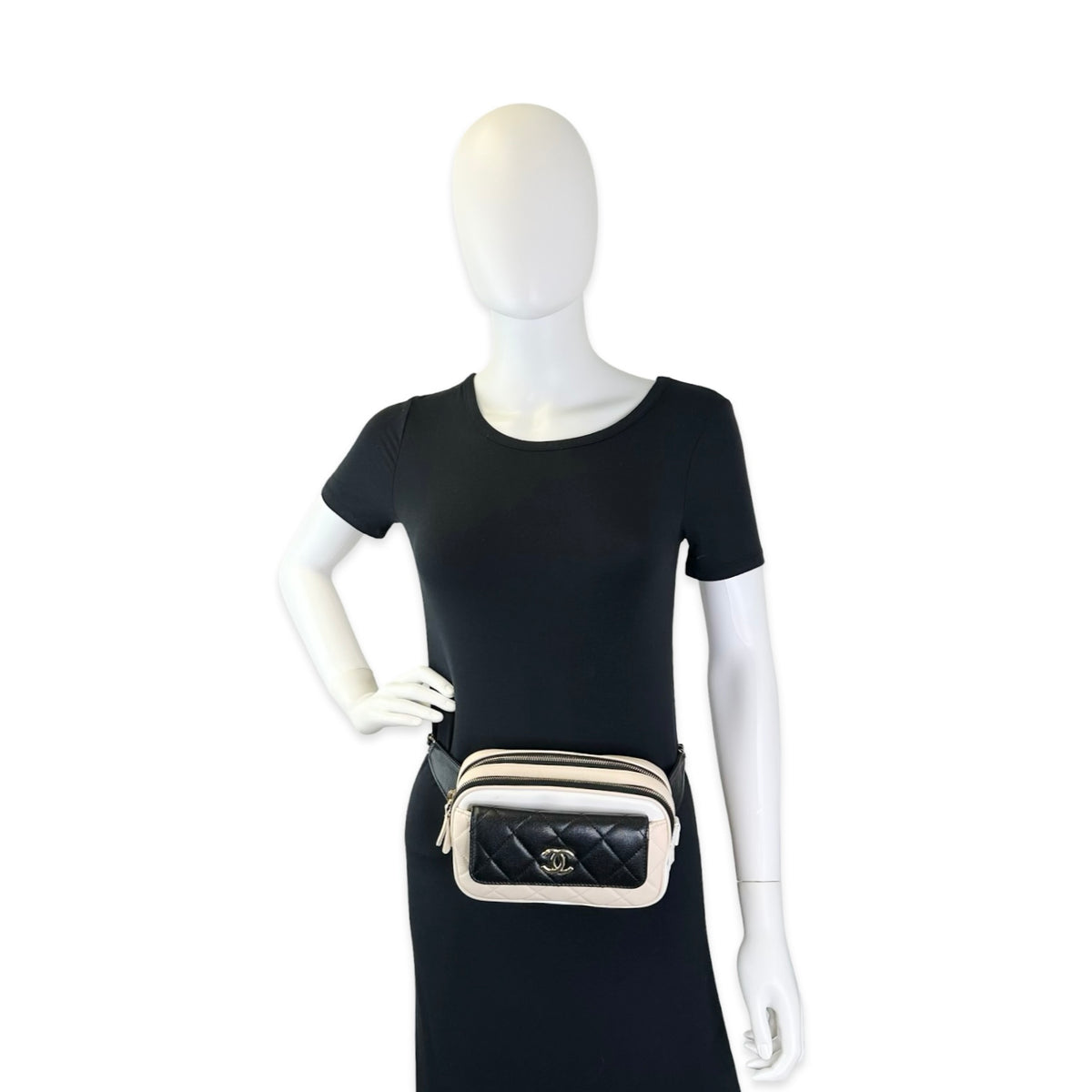 Chanel Quilted Goatskin Tricolor Waist Bag