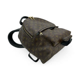 LOUIS VUITTON: Monogram Palm Springs MM Backpack