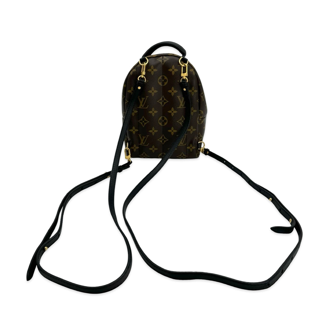 Monogram My World Tour Mini Palm Springs Backpack