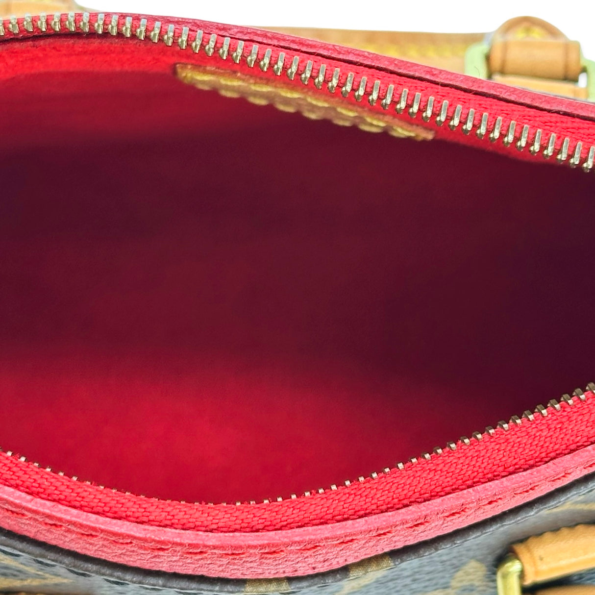 Monogram Nano Pallas