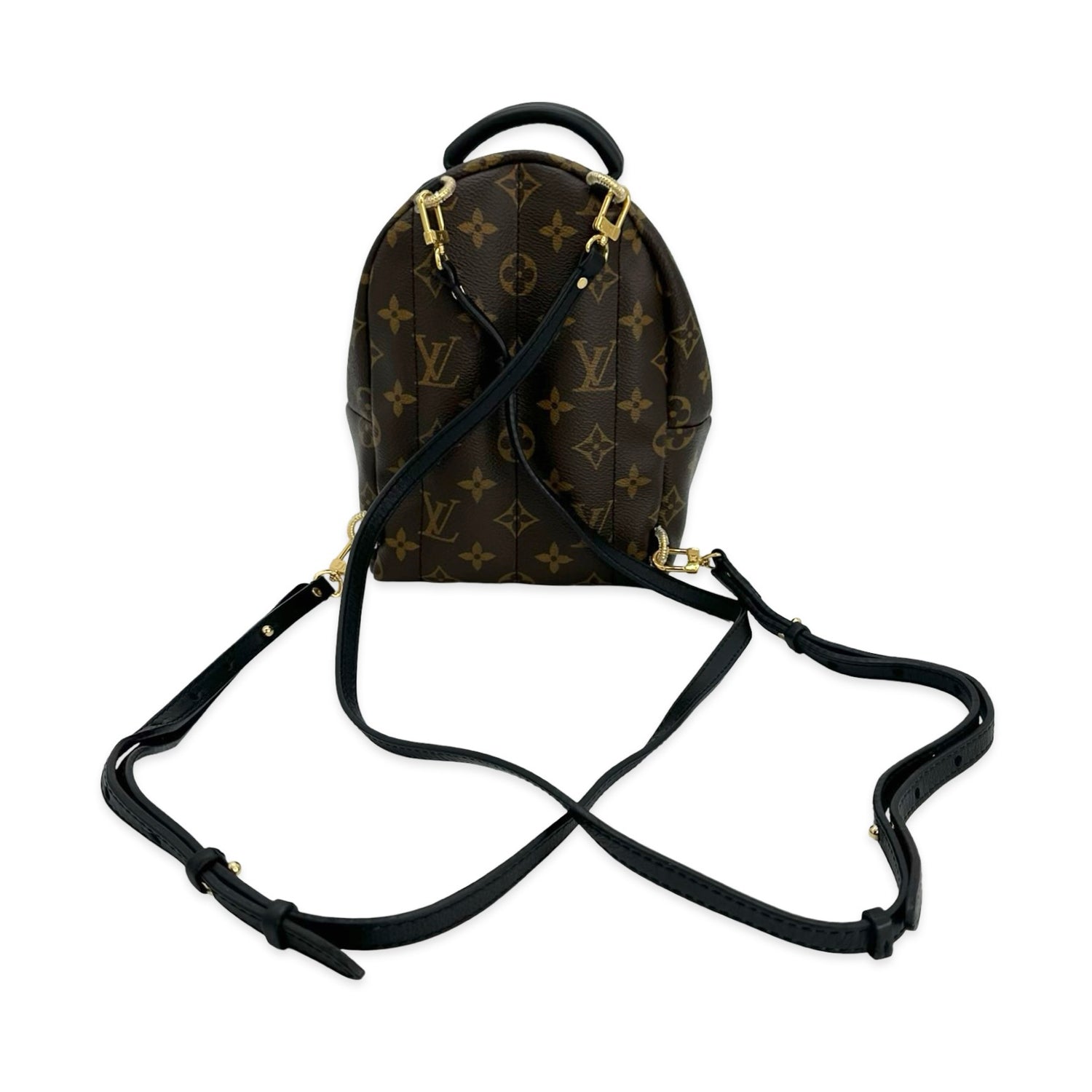 Monogram Mini Palm Springs Backpack