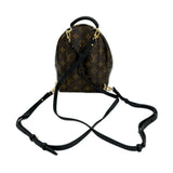 Monogram Mini Palm Springs Backpack