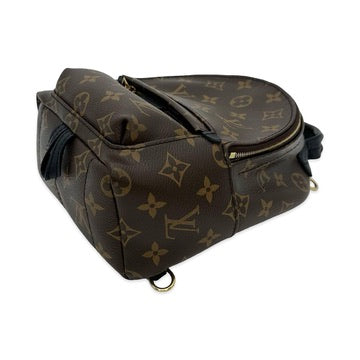 Monogram Mini Palm Springs Backpack