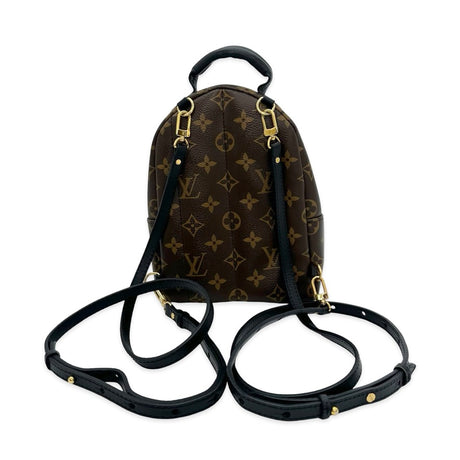 Monogram Mini Palm Springs Backpack
