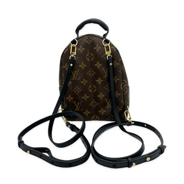 Monogram Mini Palm Springs Backpack