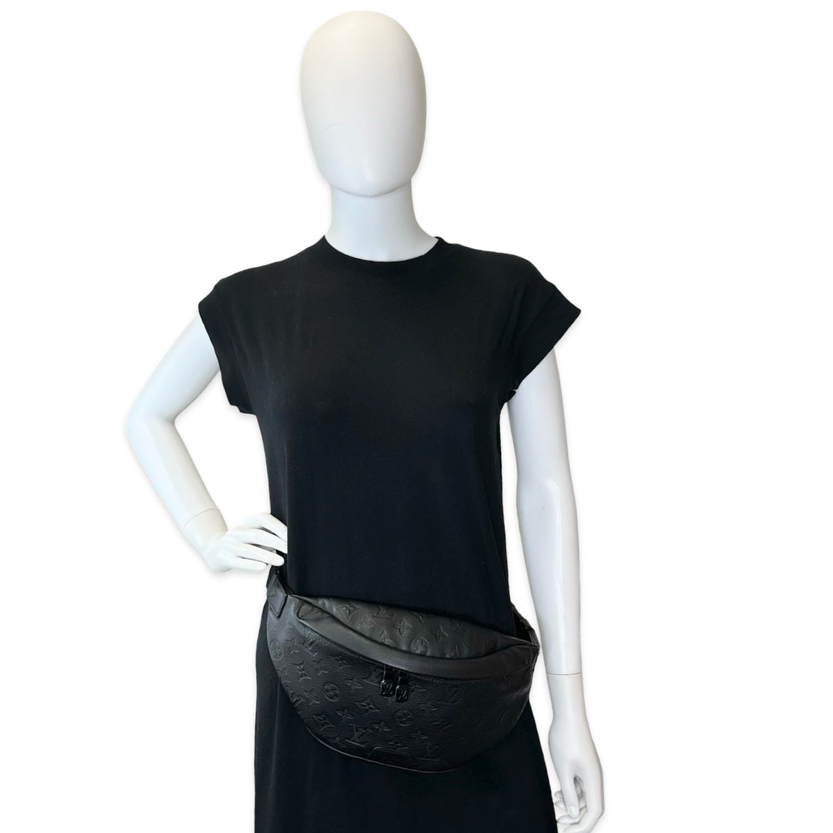 Monogram Shadow Discovery PM Bum Bag