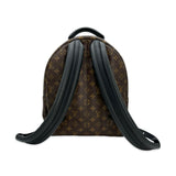 Monogram Palm Springs MM Backpack