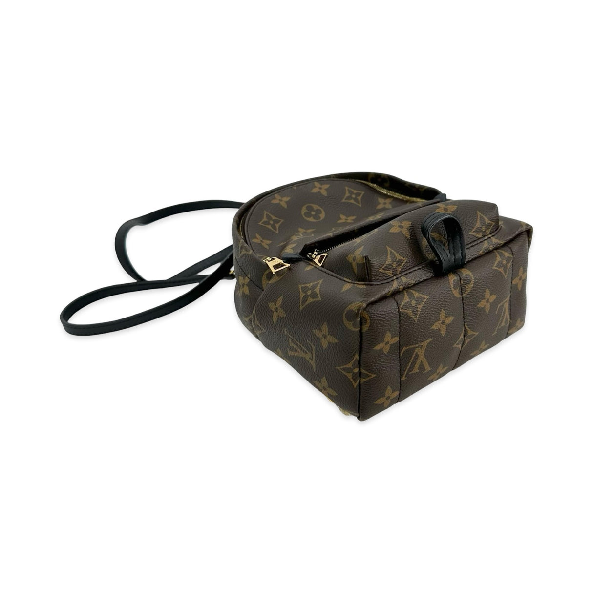 Monogram Mini Palm Springs Backpack