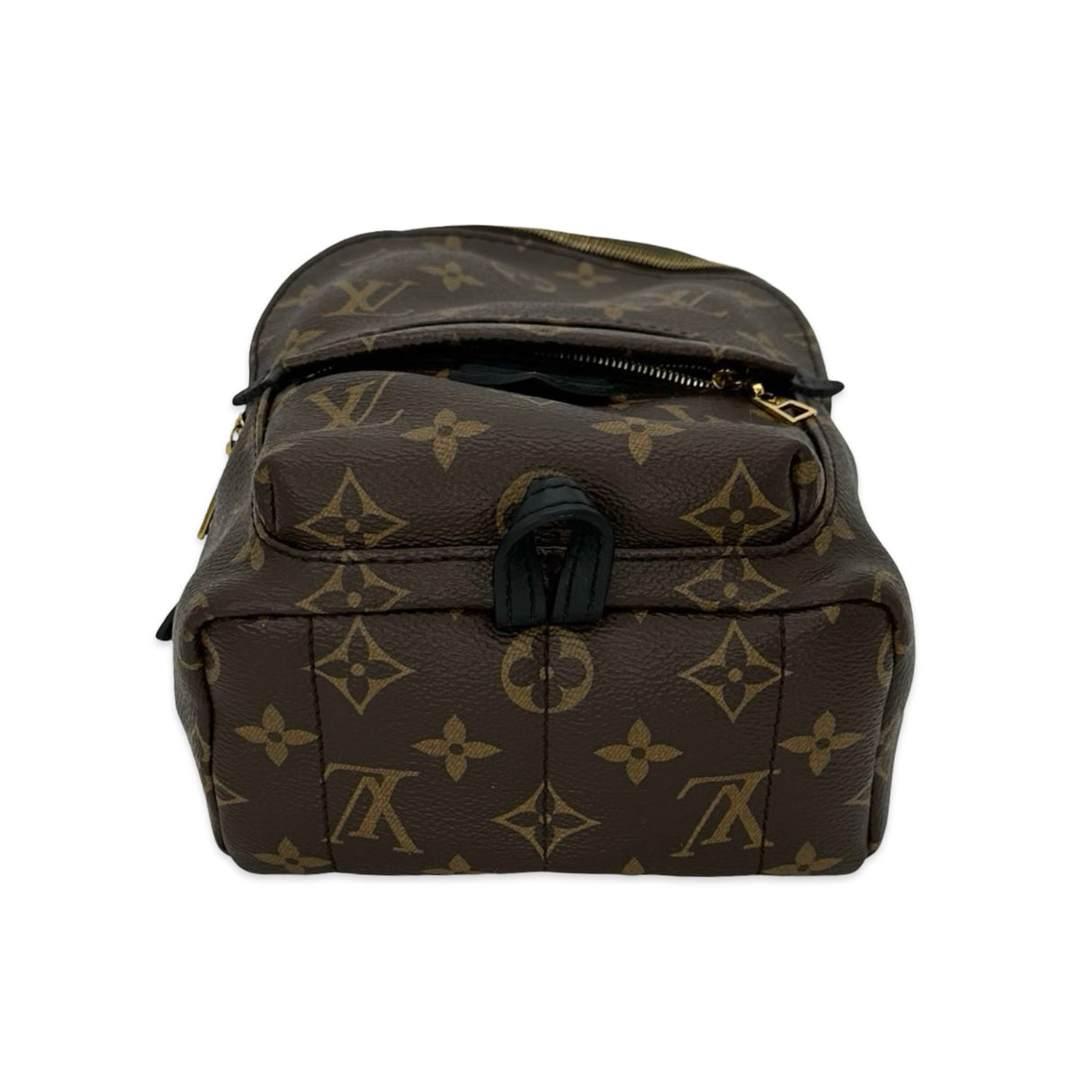 LOUIS VUITTON: Monogram Mini Palm Springs Backpack