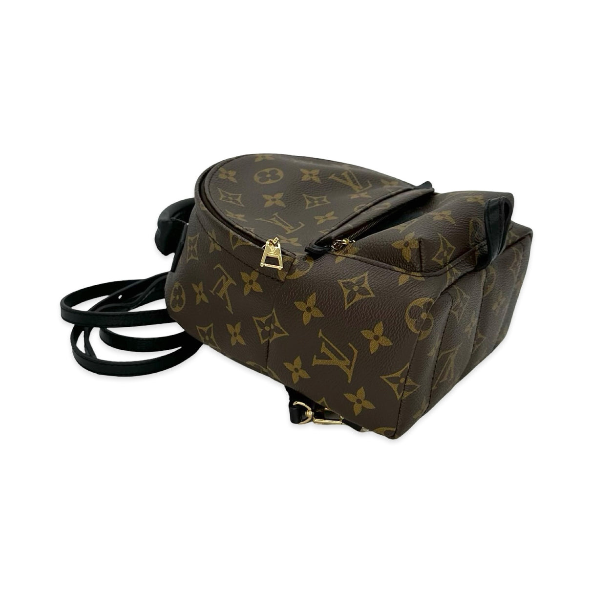 Monogram Mini Palm Springs