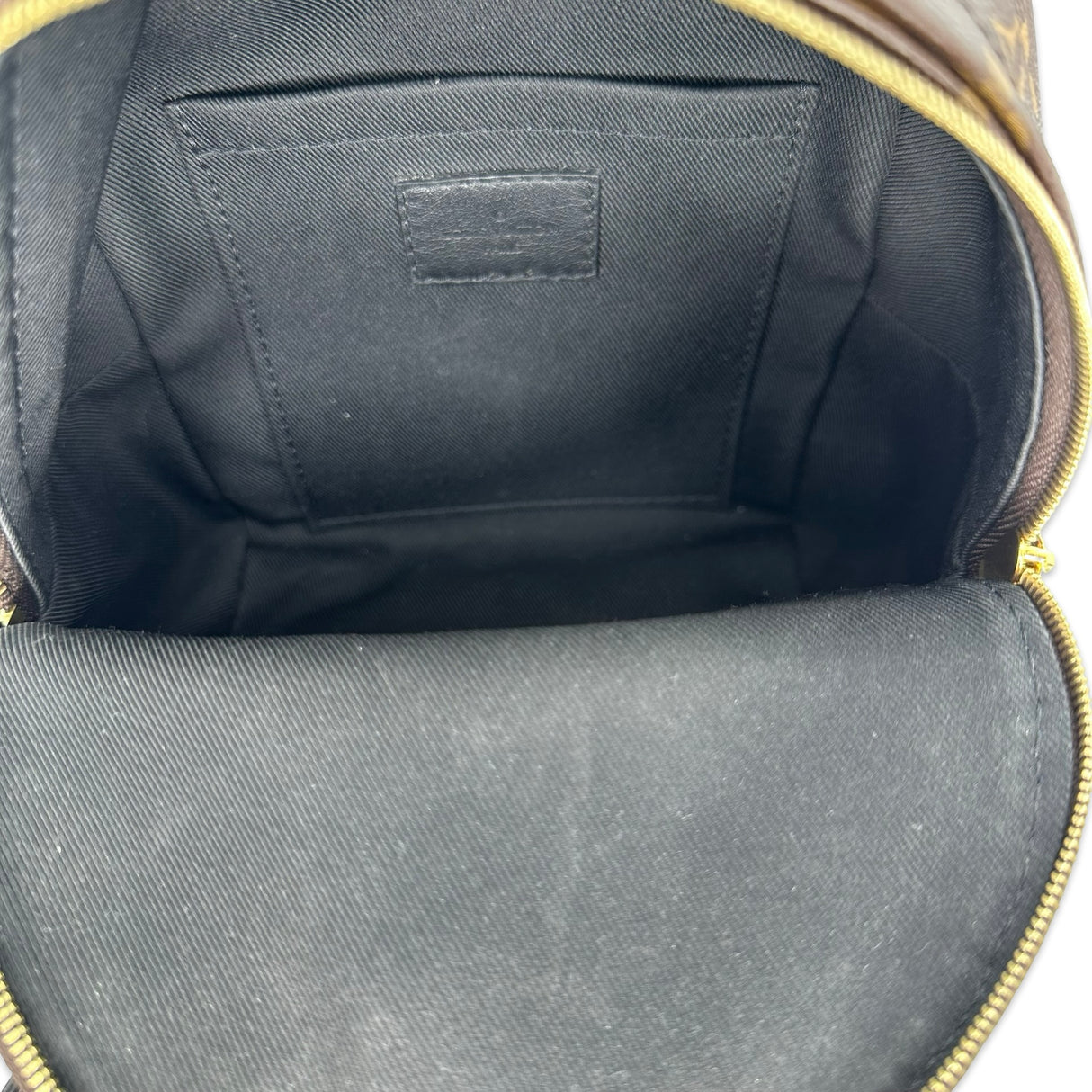 LOUIS VUITTON: Monogram Mini Palm Springs Backpack