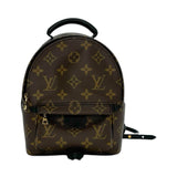 Monogram Mini Palm Springs