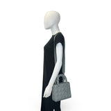 CHRISTIAN DIOR: Cannage Ultramatte My ABCDior Small Lady Dior