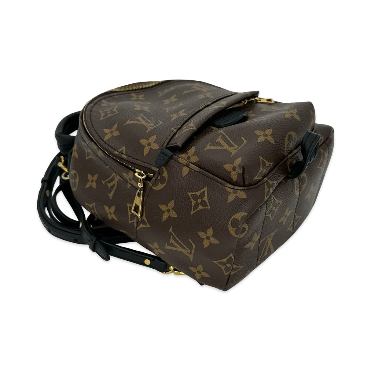LOUIS VUITTON: Monogram Mini Palm Springs Backpack