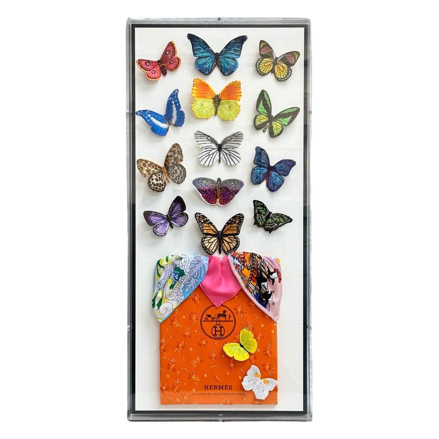 Stephen Wilson: 12x26 Hermes Butterfly Surprise