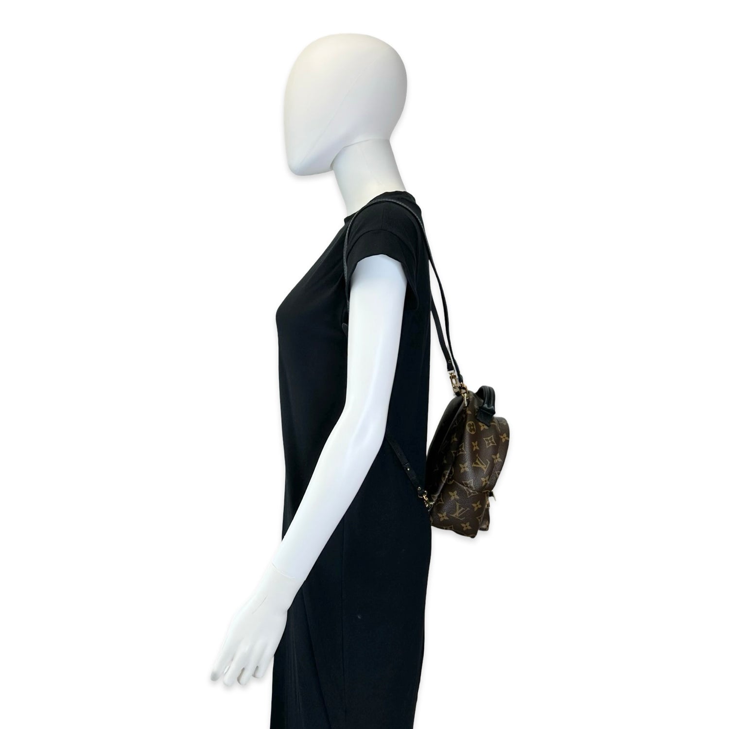 Louis Vuitton Monogram Mini Palm Springs Backpack