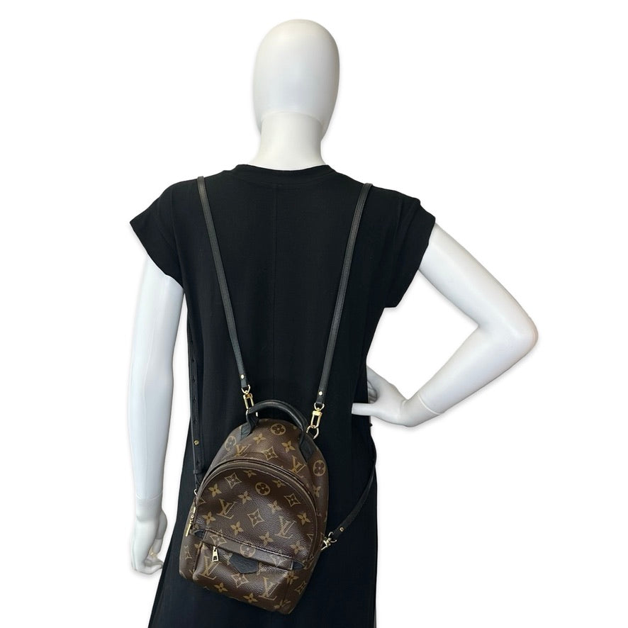 Monogram Mini Palm Springs Backpack