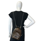 Monogram Mini Palm Springs Backpack