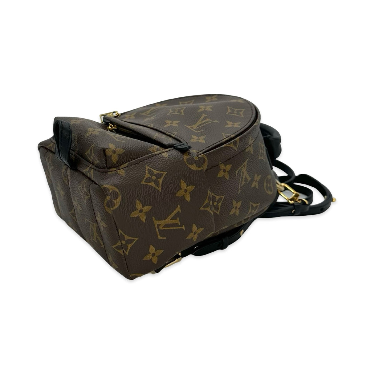 Monogram Mini Palm Springs