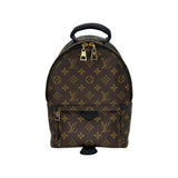 LOUIS VUITTON: Monogram Palm Springs PM Backpack